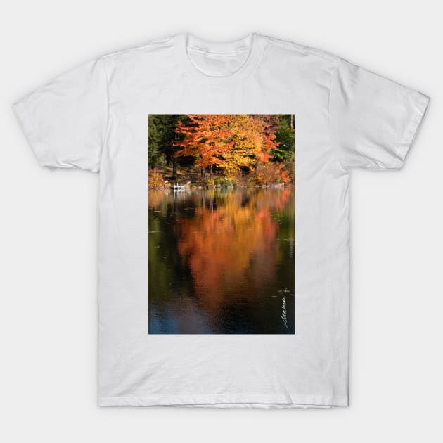 Maple Reflections T-Shirt by srwdesign